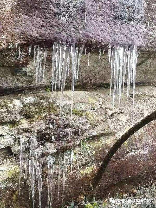 有关冬雨的句子