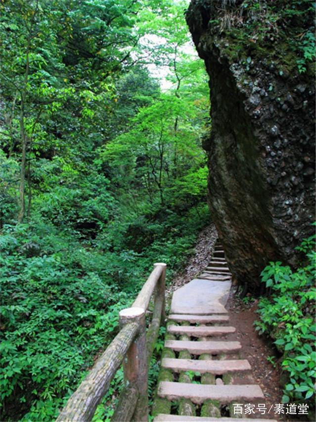 道家健康的各派语录