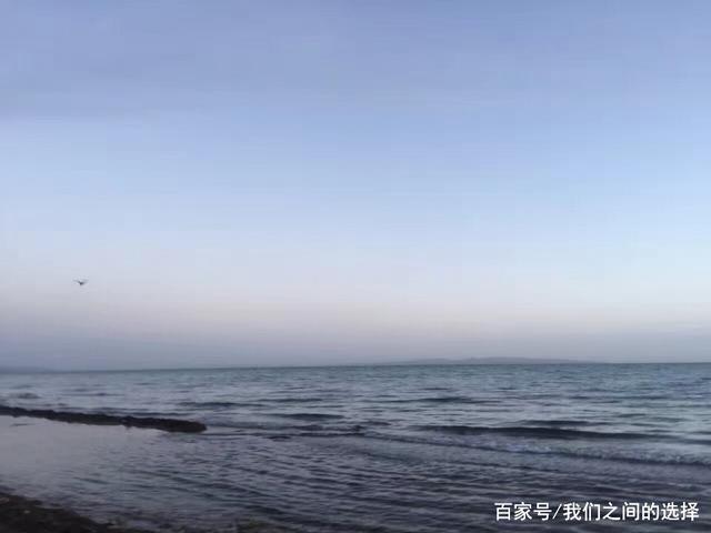 一剪梅中的名句默写 一剪梅中的名句默写