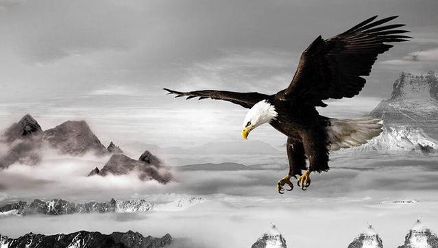 劝不要生气的名句