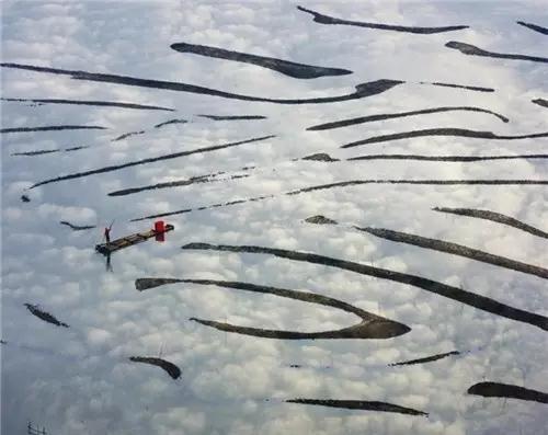 林微音经典语录 林微音经典语录