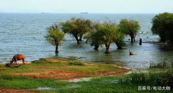 关于打破常规的句子