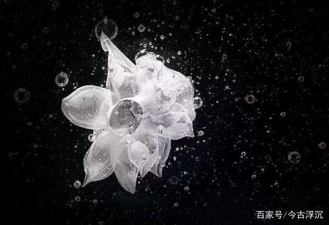 关于佛学里名句的图片