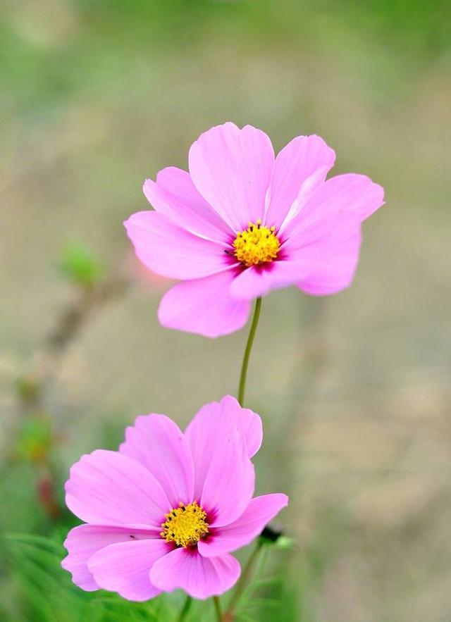 关于纸的著名句子