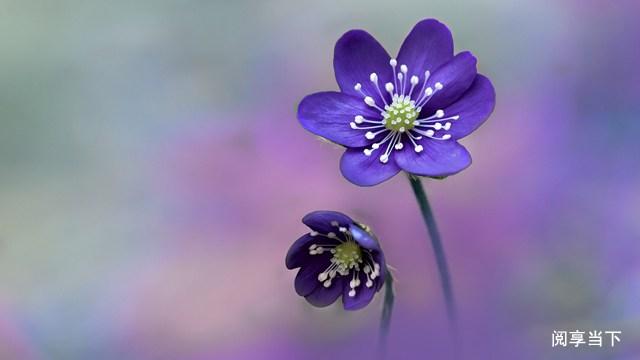 人一定要善良的好句子 人一定要善良的好句子