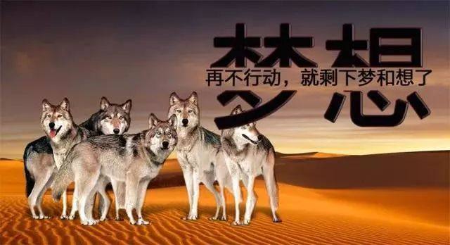 有关设计的句子 有关设计的句子