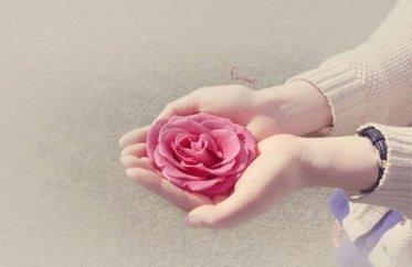 运用排比有趣的句子 运用排比有趣的句子