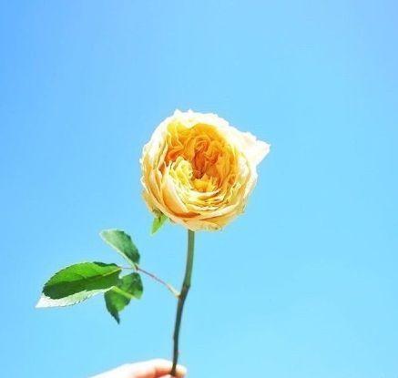 描写名子叫暖暖的好句子