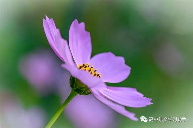 对下列句子的解说正确的一项是