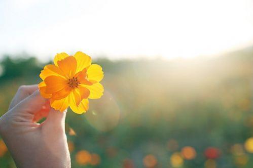 七夕爱情语录长句