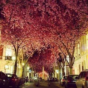 现实人生语录 现实人生语录