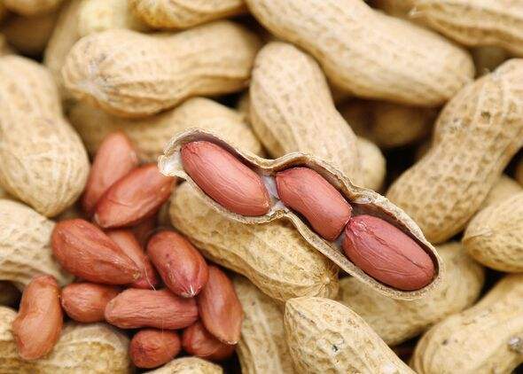 花生品格的名诗名句 花生品格的名诗名句