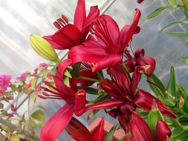 描写催人上进，激励奋发的名句