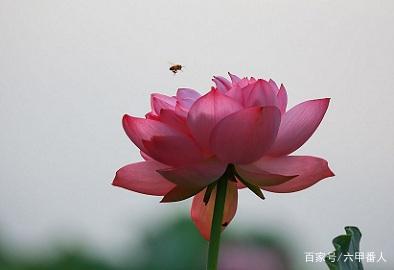 诗境与诗心的名言名句