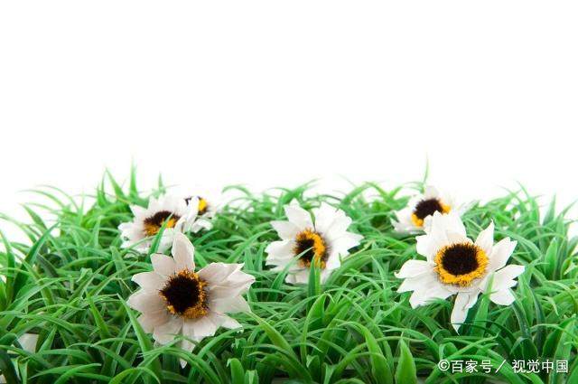 《永久的生命》名句