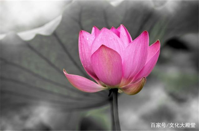 通俗的激励语录