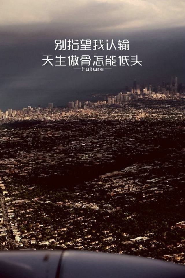 重新进入职场语录