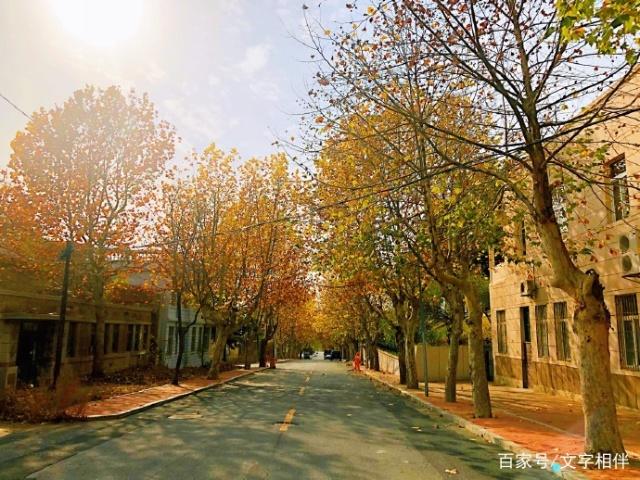 赞美初冬的句子