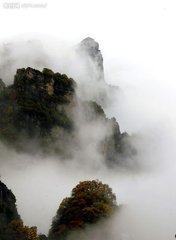 送李愿归盘谷序