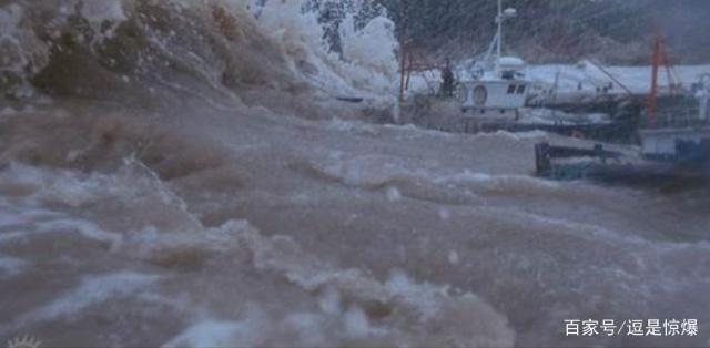 呼吁人们保护地球的句子