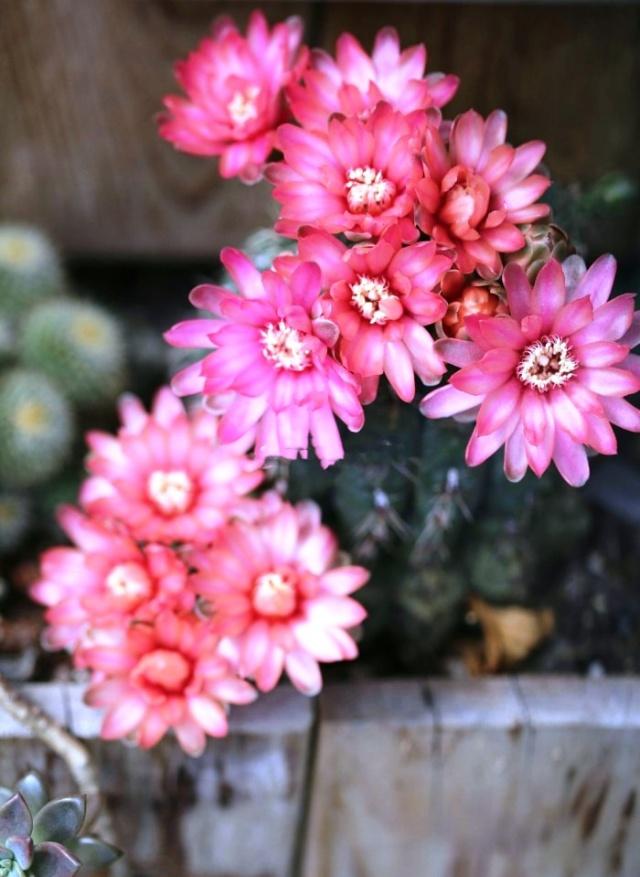 关爱名言的好句