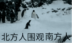 下雪天堆雪人的句子