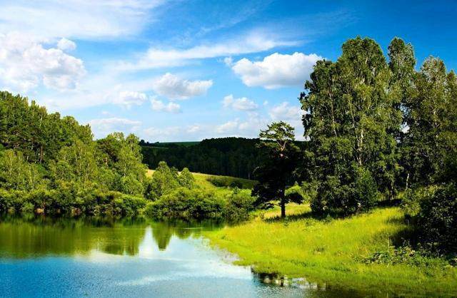 算计的句子 算计的句子