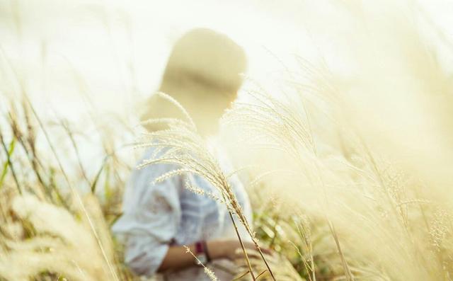 用假如说一个句子