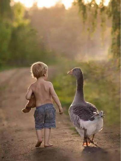 寒心的语录 寒心的语录