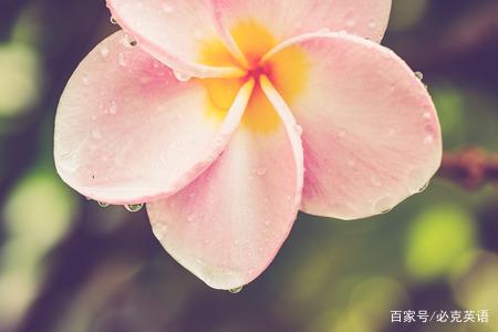 关于感恩节的句子英文