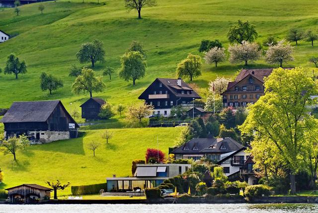 带有与世无争四字的句子