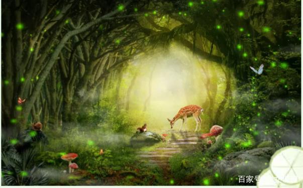 作文好句子及感悟 作文好句子及感悟