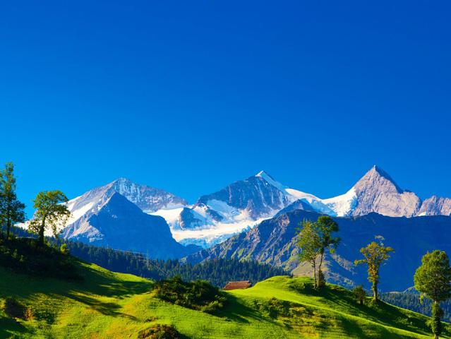 喝茶养生唯美语录经典