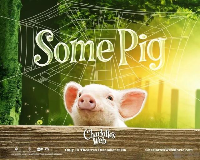 英语文章及好词好句子