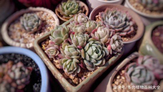 一些英文名句 一些英文名句