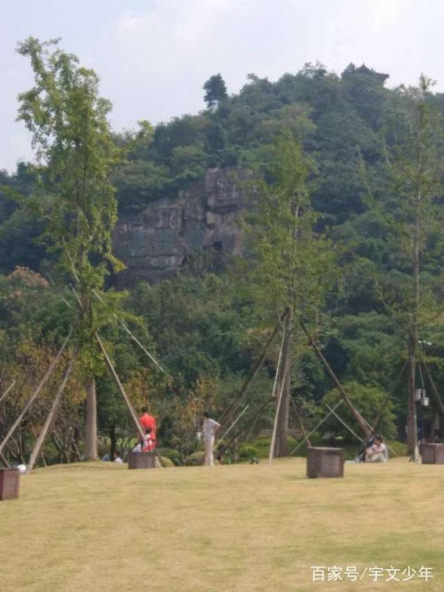 写镜湖湿地公园的好句 写镜湖湿地公园的好句
