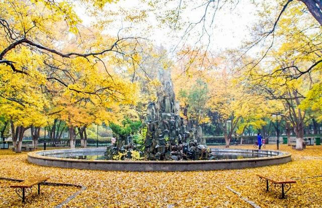 描写校园秋色的好词好句有哪些