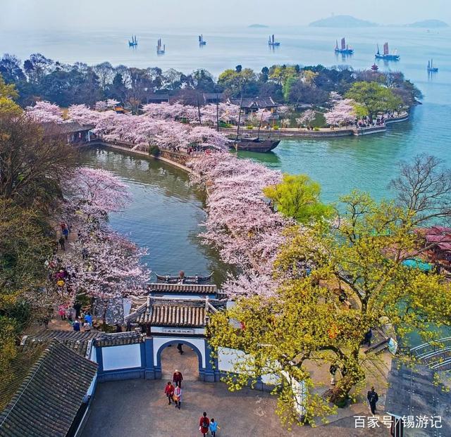 描写春花，夏荷的句子