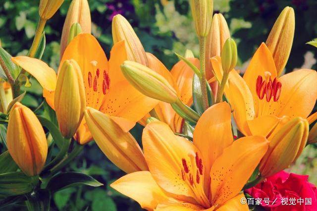 朋友长时间不联系句子