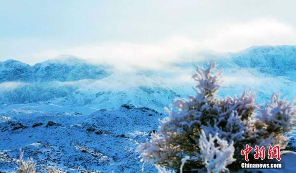 讽刺政府腐败的句子