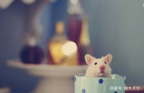 周末过得愉快语录