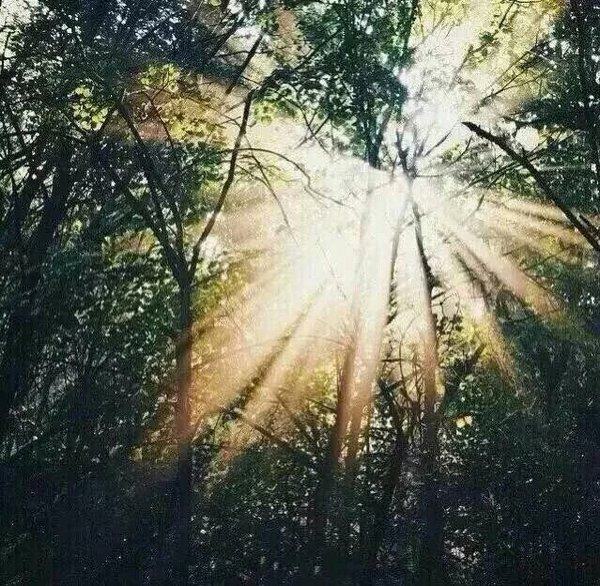 微信朋友圈经典语录_个性说说网