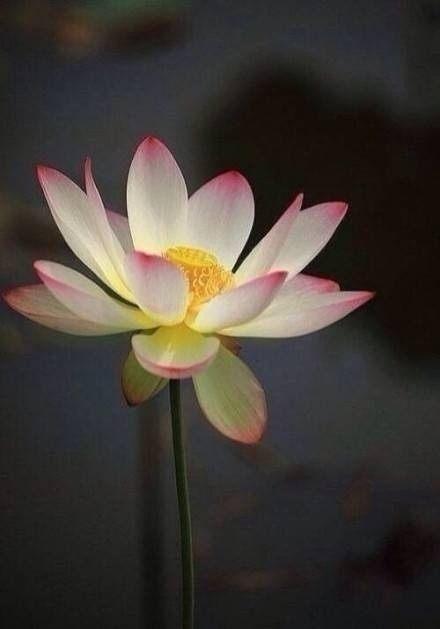 有道理的句子加图片 有道理的句子加图片