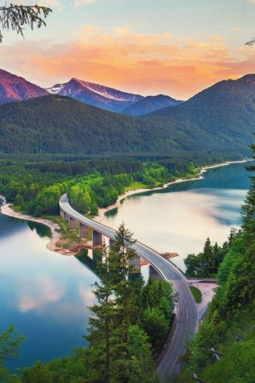 高尔基教育经典语录