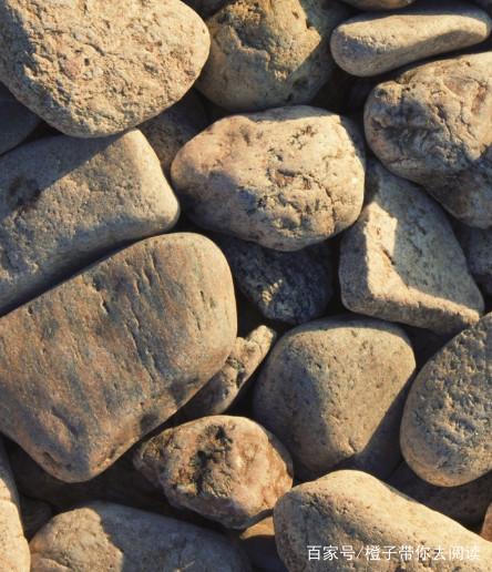 有缘相聚的句子