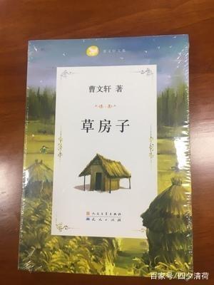 草房子读书笔记第三章好句