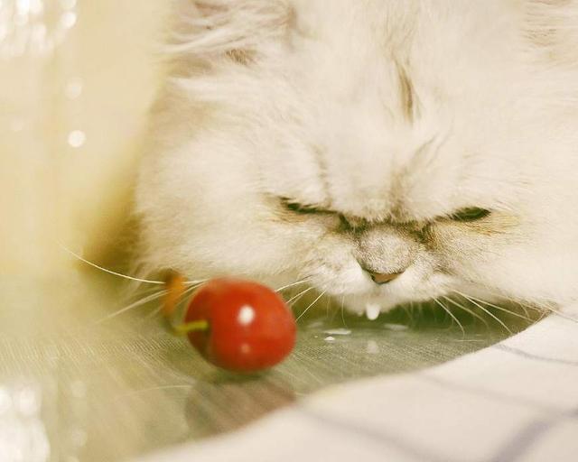 英文的读书名言名句大全集