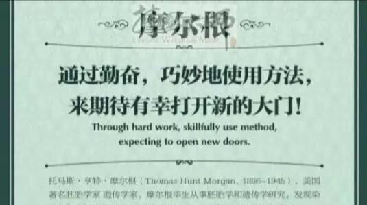 英语九年级句子