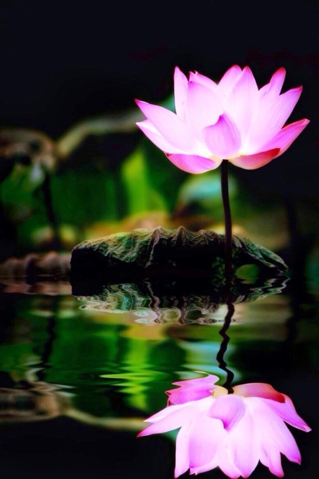 形容大起大落的句子