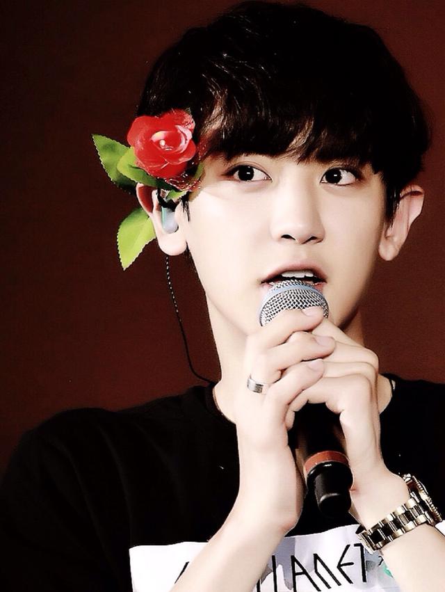 朴灿烈个人语录